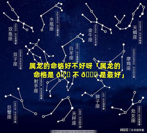 属龙的命格好不好呀「属龙的命格是 🦈 不 🐛 是最好」